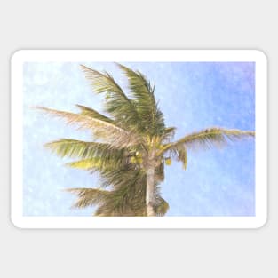 Palm Tree Windy Day Sticker